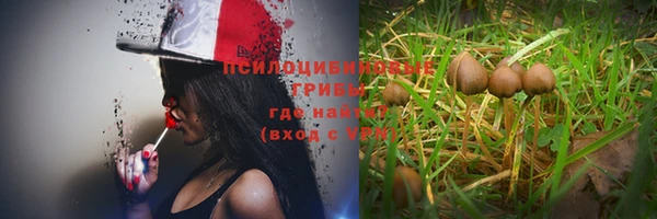 ALPHA-PVP Болохово
