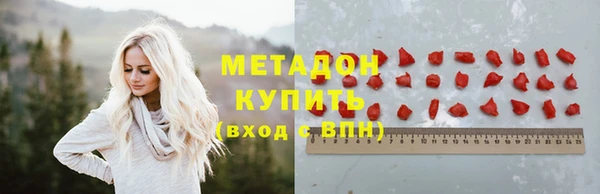 прущие грибы Верея